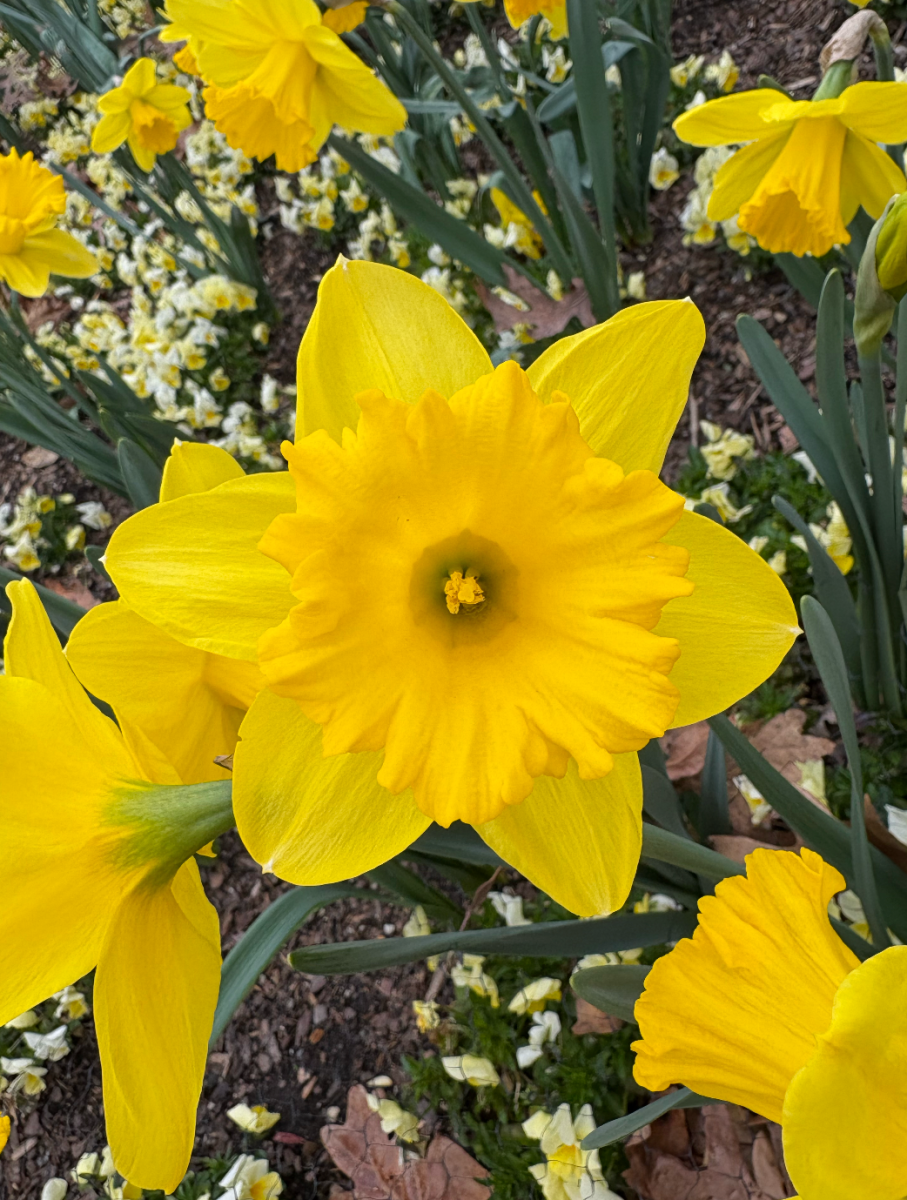 How to: Turn your ‘April Showers’ into ‘May Flowers’